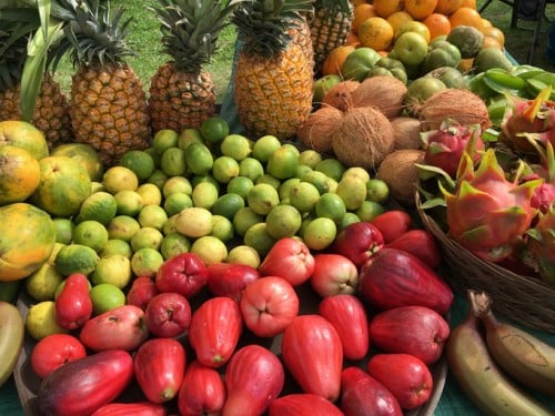 Insuring Hawaiian crops is about much more than pineapples